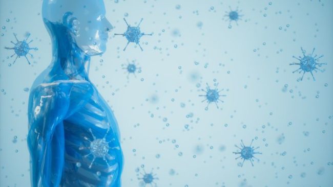 teaser_immunsystem_web