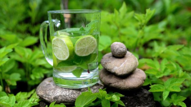 TCM Reinigung für Körper und Geist Wasser mit Limone und Minze im Freien