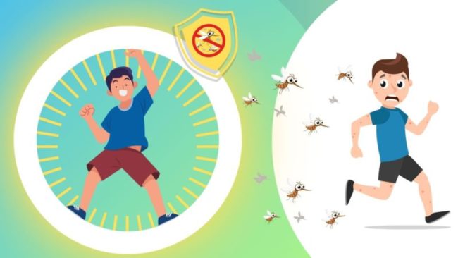 Gelsenschutz grafik(2) Gelsenschutz