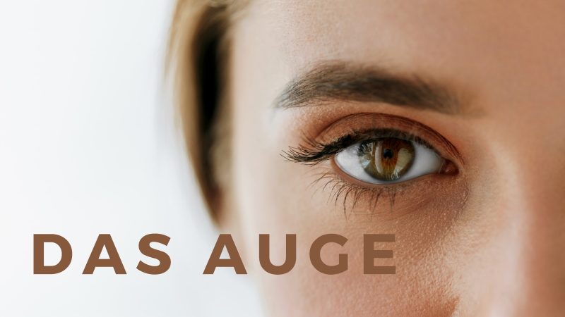 Auge Blogcover Websitev2